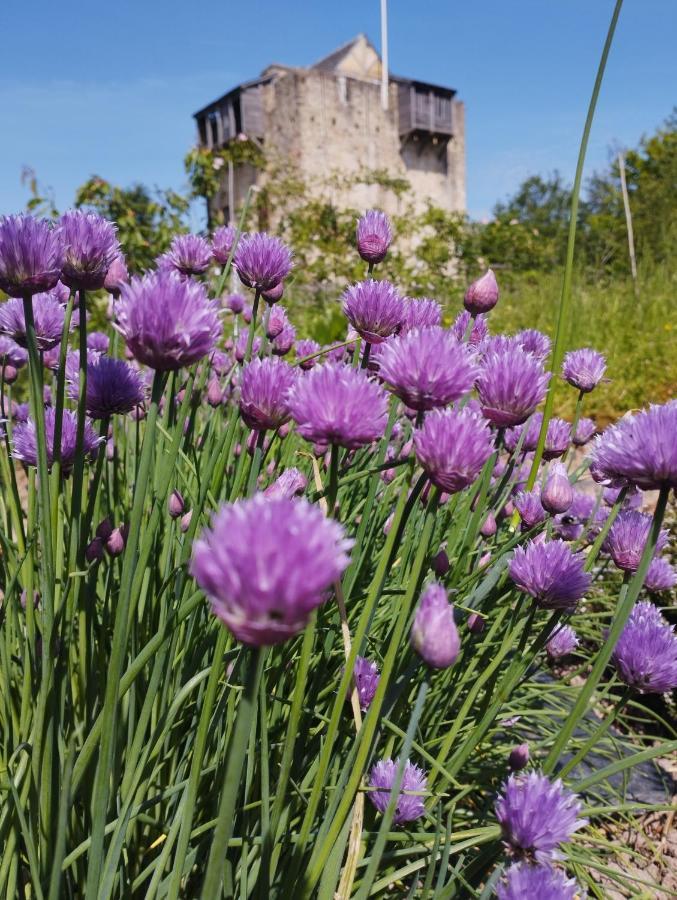 ホテル Domaine De La Ferte Clairbois Sainte-Suzanne  エクステリア 写真