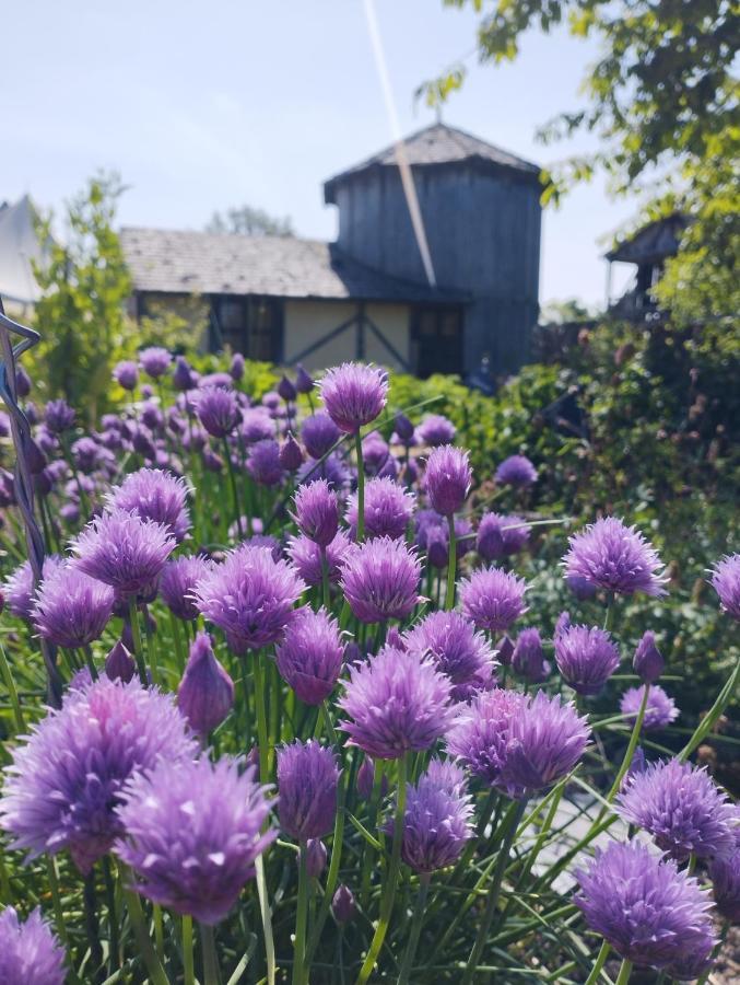 ホテル Domaine De La Ferte Clairbois Sainte-Suzanne  エクステリア 写真